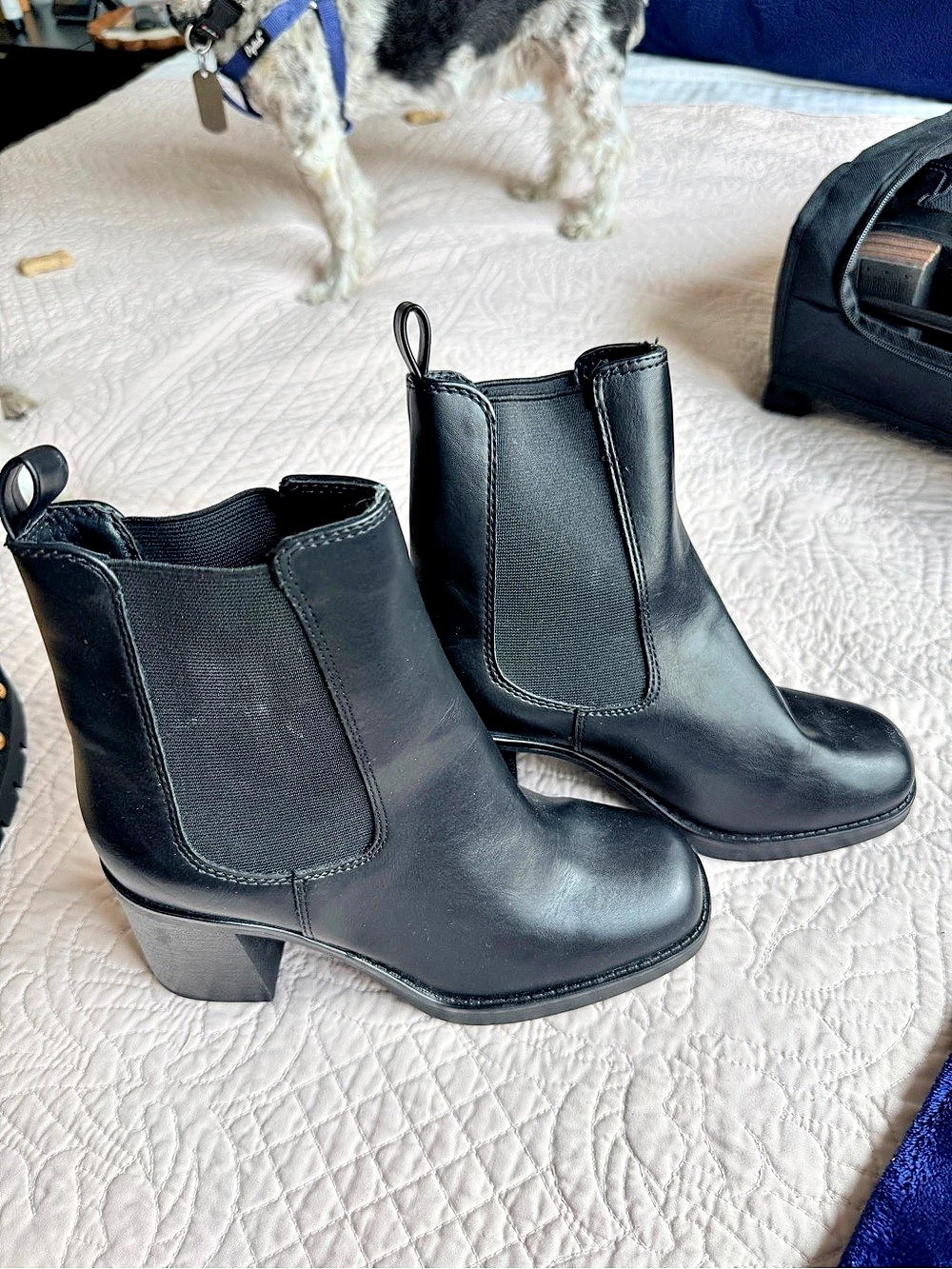 Steve Madden Black Leather Ankle Boots US 7M